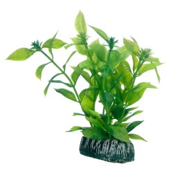 Hobby Hygrophila HOBBY 4011444515605 Plantes