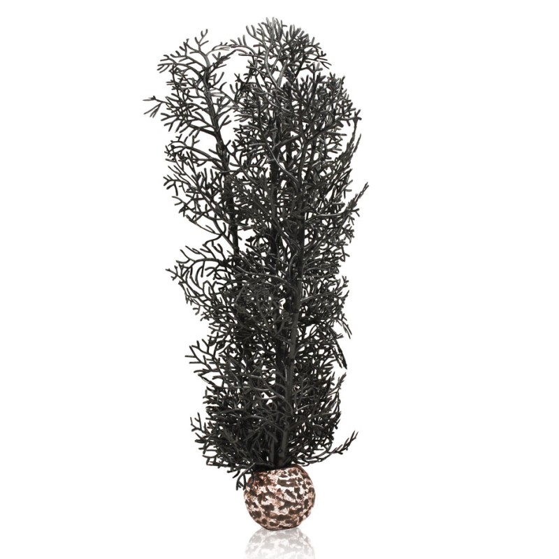 Oase Biorb Corail noir  OASE  Plantes