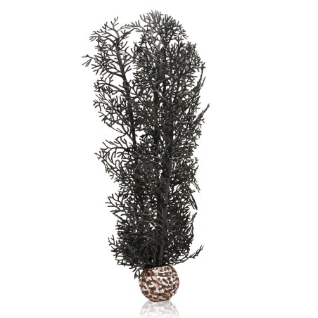 Oase Biorb Corail noir  OASE  Plantes