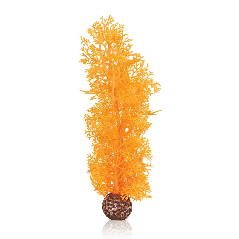 Oase Biorb Corail orange OASE  Plantes