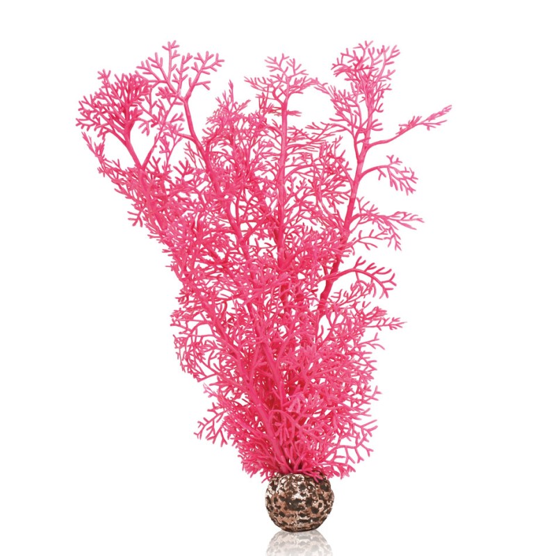 Oase Biorb Corail rose OASE  Plantes