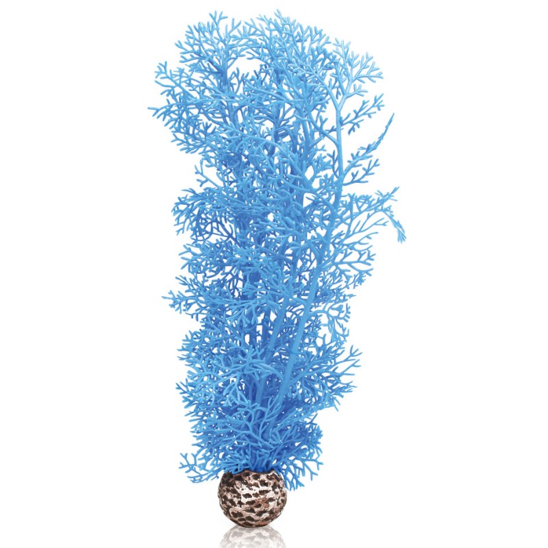 Oase Biorb Corail bleu OASE  Plantes