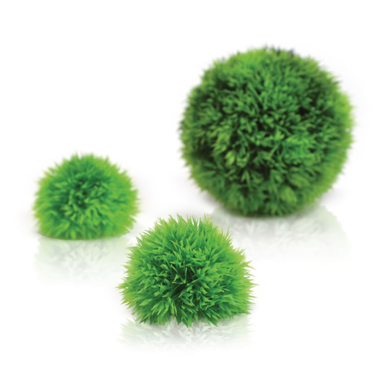 Oase Biorb Set boules vertes OASE 822728002957 Plantes