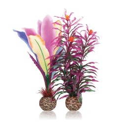 Oase Biorb Plumes de Perroquet OASE  Plantes