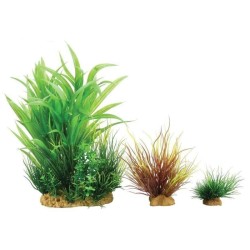 Zolux Plantkit Wiha ZOLUX  Plantes