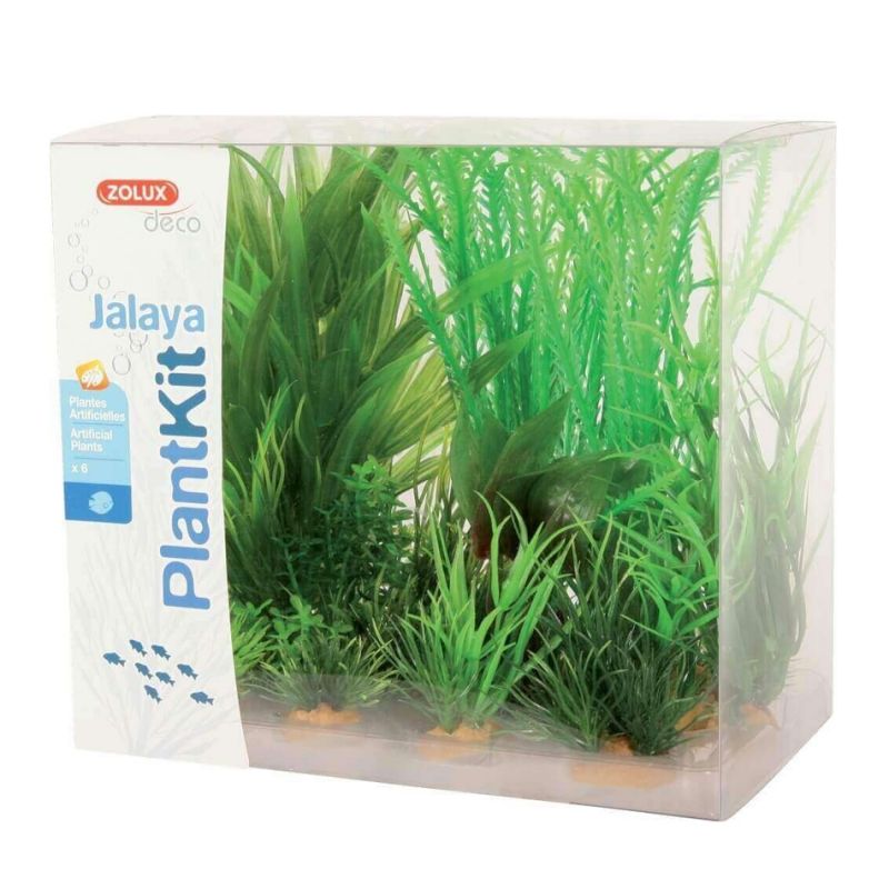 Zolux Plantkit Jalaya ZOLUX  Plantes
