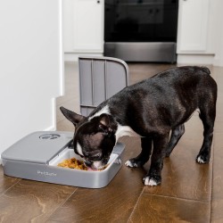 Distributeur automatique 2 repas PetSafe PETSAFE 729849170056 Gamelles, distributeurs