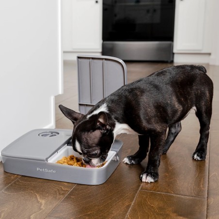 Distributeur automatique 2 repas PetSafe PETSAFE 729849170056 Gamelles, distributeurs