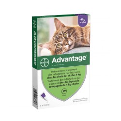 Antiparasitaire Advantage 4 kg et plus  ADVANTIX  Pipettes et spray