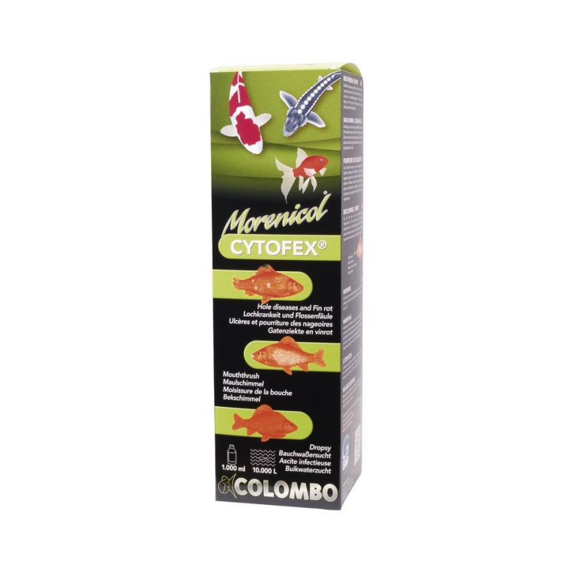 Colombo Morenicol Cytofex infections bactériennes   Soins des poissons