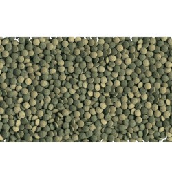 Tetra Pleco Tablets TETRA 4004218754799 Aliments de fond