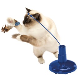 Jouet électronique raptor pour chat FERPLAST 8010690125343 Jouets interactifs