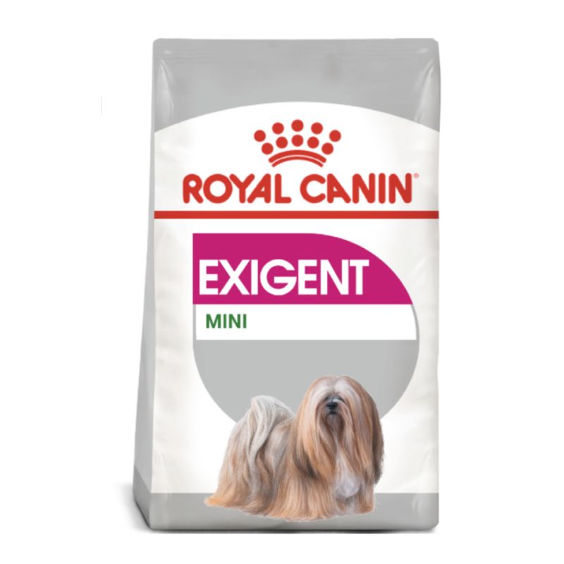 Royal Canin Mini exigent 3 kg ROYAL CANIN 3182550894050 Alimentation chien sensible/surpoids