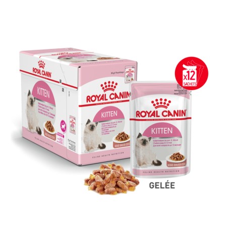 Terrines KITTEN en gelée ROYAL CANIN 9003579311783 Terrines Royal Canin