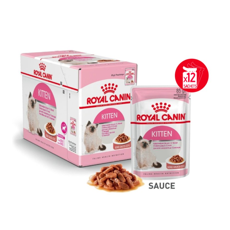 Terrines pour chaton Royal Canin sauce AnimauxMarket