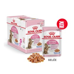 Terrines Kitten Stérilisé en gelée ROYAL CANIN 9003579007167 Terrines Royal Canin