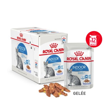 Terrines Indoor Stérilisé en gelée ROYAL CANIN 9003579013861 Terrines Royal Canin