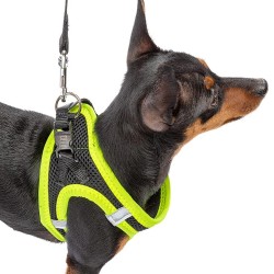 zoofari® Harnais pour chiens, éléments réfléchissants