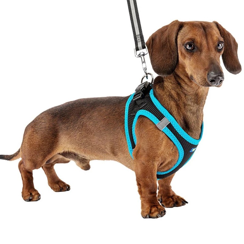 Markcur Harnais de sécurité Respirant pour Chien