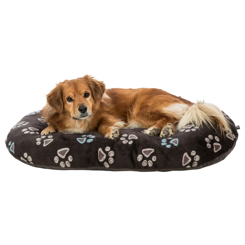 Lit rond avec oreiller pour chien - ABC chiens