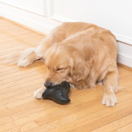 Jouet à mâcher Squeak'n'Treat PETSAFE 729849164598 Jeux éducatif