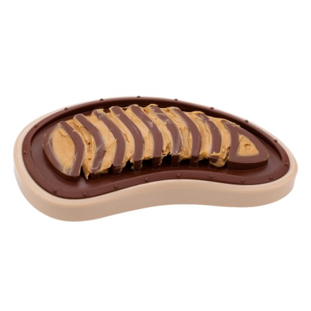 Jouet à friandises Steak  PETSAFE 729849173224 Jeux éducatif