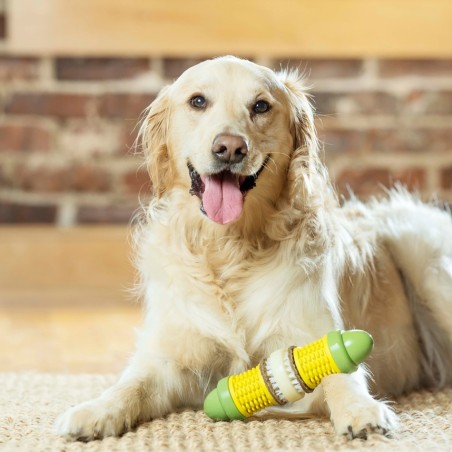 Jouet à friandises Cravin'Corncob PETSAFE 729849173170 Jeux éducatif