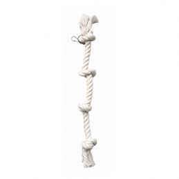 Corde avec noeuds pour Perroquet