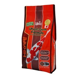 Hikari Wheat-germ mini  HIKARI 042055062701 Alimentation