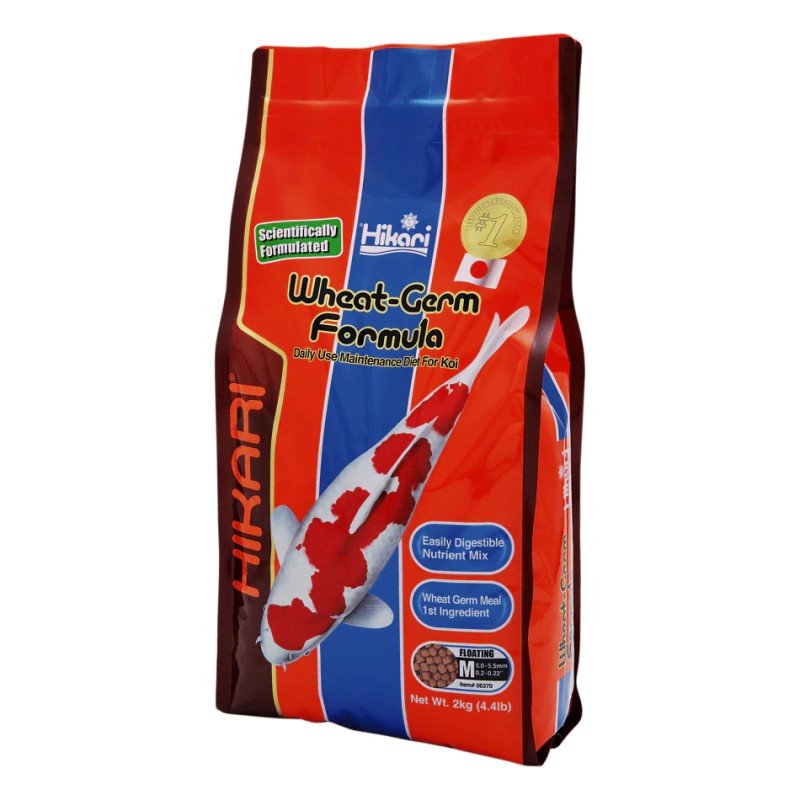 Hikari Wheat-germ medium HIKARI  Alimentation