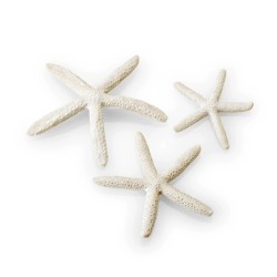 biOrb Set 3 étoiles de mer blanches OASE 822728006672 Décors divers