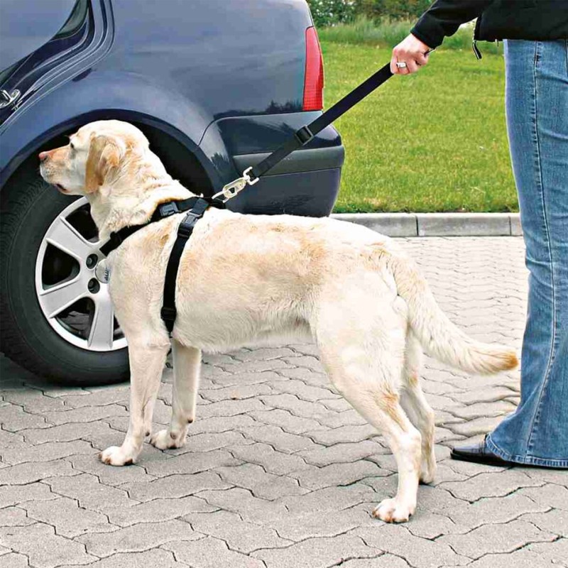 Harnais de sécurité pour chien en voiture l Harnais auto chien