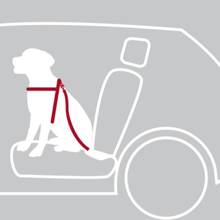Harnais de sécurité pour voiture - Taille L