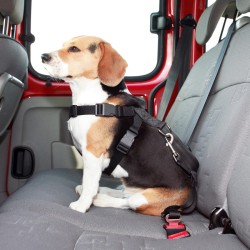 Ceinture Chien Voiture Harnais Voiture Chien Voiture Voyage Accessoires  pour Chiens Chien De Harnais De Voiture Chien Siège Attache De la Ceinture  Black : : Animalerie