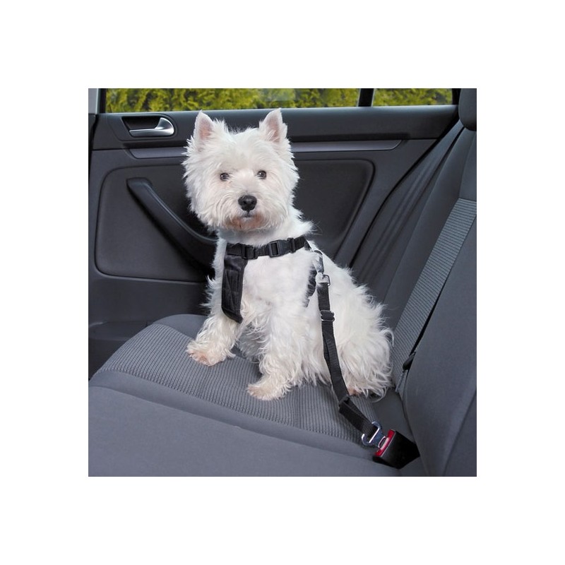 Ceinture Chien Voiture Harnais Voiture Chien Voiture Voyage Accessoires  pour Chiens Chien De Harnais De Voiture Chien Siège Attache De la Ceinture  Black : : Animalerie