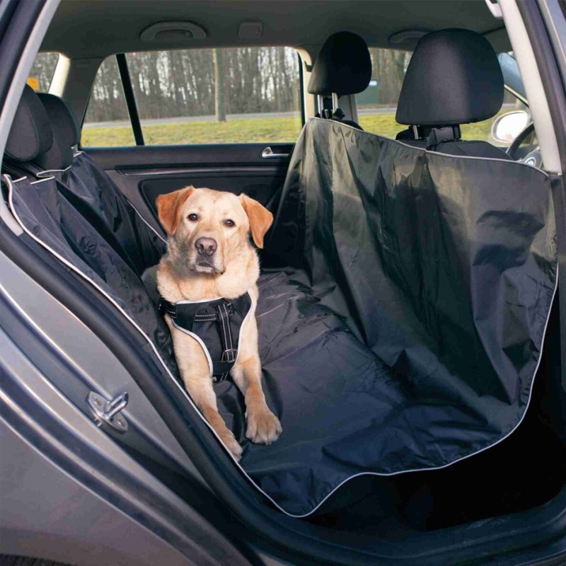 Protection voiture et coffre chien, accessoires voyage