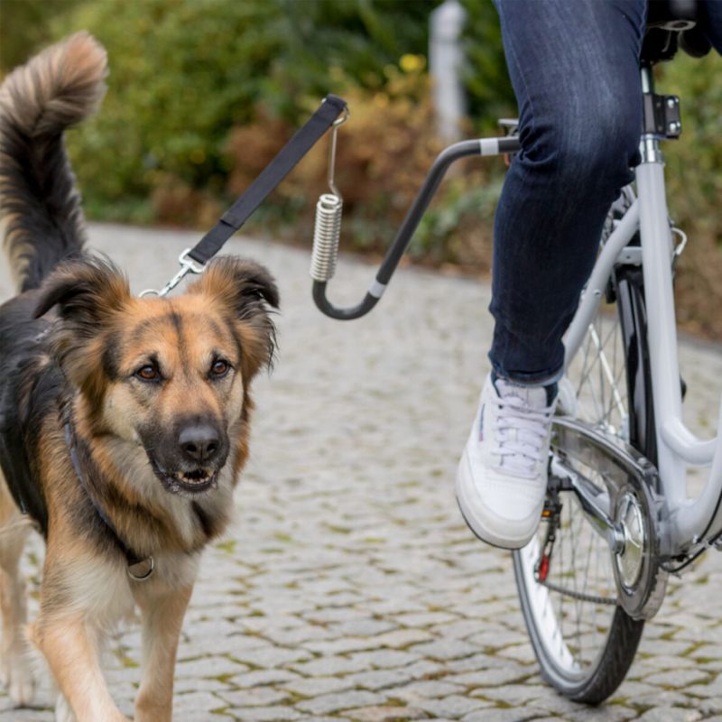 Biker-Set grand chien 