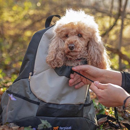 Sac à dos Kangoo pour chien  FERPLAST 8010690175324 Sacs de transport