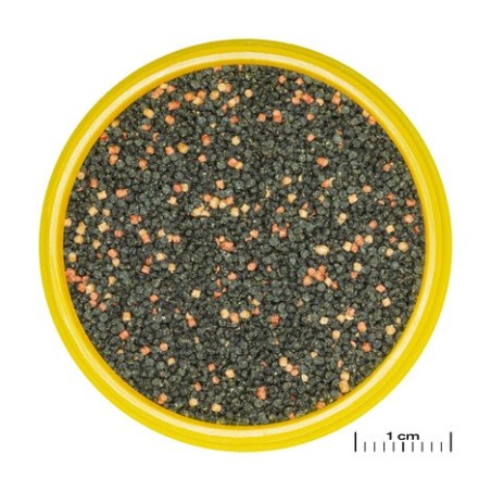 JBL ProNovo Guppy Grano S JBL  Alimentation