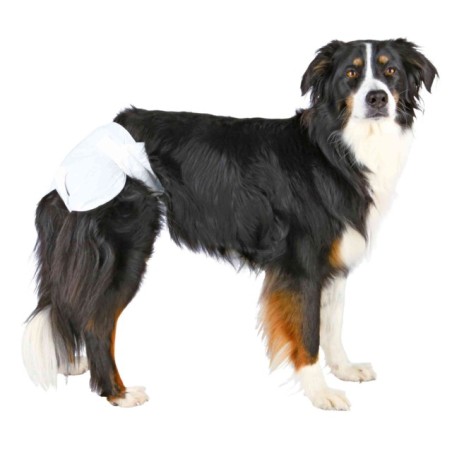 Couches pour chien Femelle Trixie TRIXIE  Hygiène, soins et accessoires