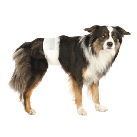 Couches pour chien Mâle Trixie TRIXIE  Hygiène, soins et accessoires