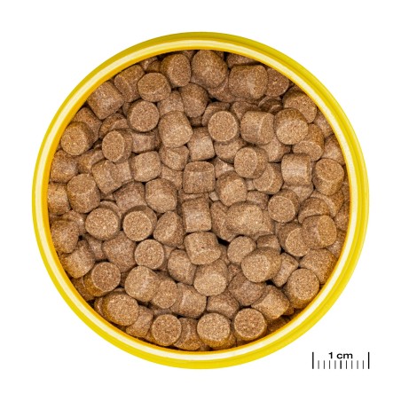 JBL ProNovo Lotl Grano XL 250 ml JBL 4014162313584 Aliments de fond