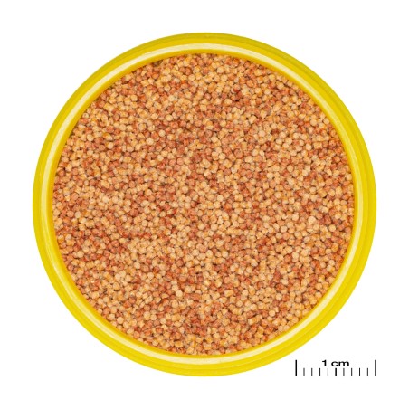 JBL Pronovo Color Grano S - 100 ml JBL 4014162311412 Exotiques