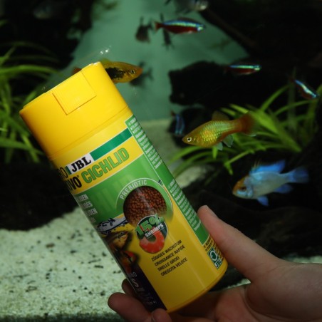 JBL ProNovo Cichlid Grano S- click JBL  Cichlidés