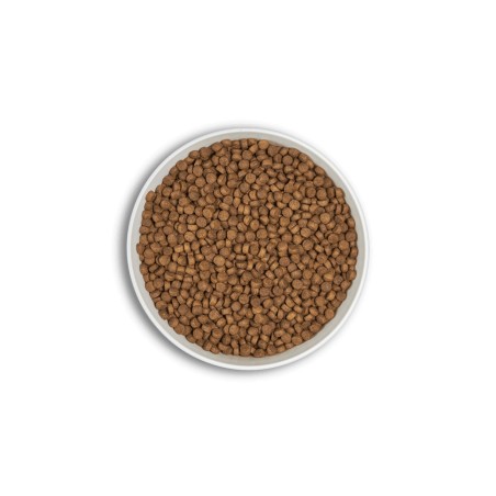 Croquettes ERA Millénium ADULTES Petites Races – Poulet & Faisan ERA  Croquettes ERA