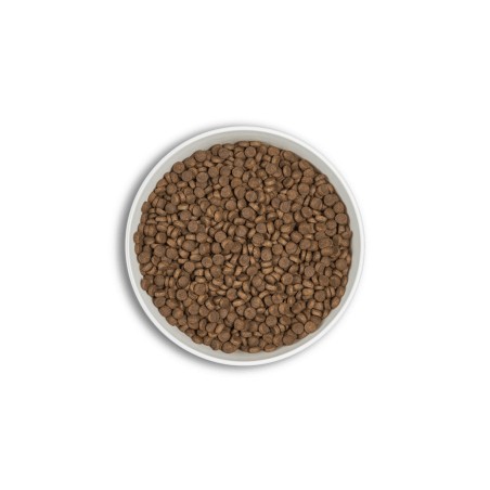 Croquettes ERA Millénium ADULTES Petites Races – Saumon & Hareng ERA  Croquettes ERA
