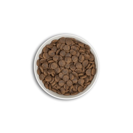 Croquettes ERA Millénium ADULTES Moyennes et Grandes Races – Saumon & Hareng ERA  Croquettes ERA