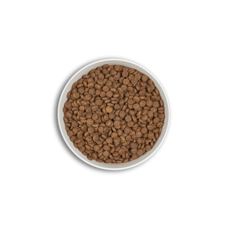 Croquettes ERA Centurion Natural CHAT Adulte - Digestion sensible ERA  Croquettes ERA Centurion