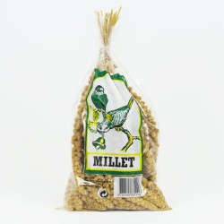 Millet jaune d'Anjou en grappe - Moreau MOREAU   Canaris