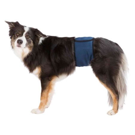 bande-de-protection-lavable-pour-chiens-males-trixie